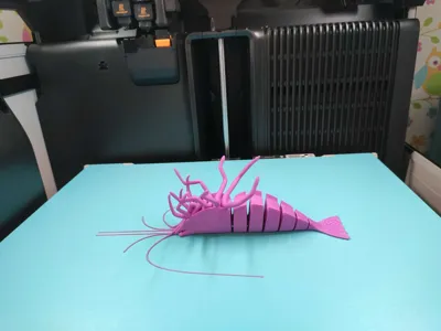 https://makerworld.bblmw.com/makerworld/model/993671/999630/ratings/e3538d70-8c88-11f0-9102-db2053d30b71.jpg
