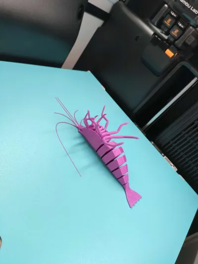 https://makerworld.bblmw.com/makerworld/model/993671/999630/ratings/e3708b50-8c88-11f0-9102-db2053d30b71.jpg