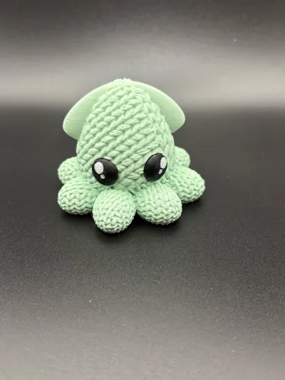 https://makerworld.bblmw.com/makerworld/model/996467/972923/ratings/47341dd0-1102-11f0-bbdd-5df223d7b3fd.jpg