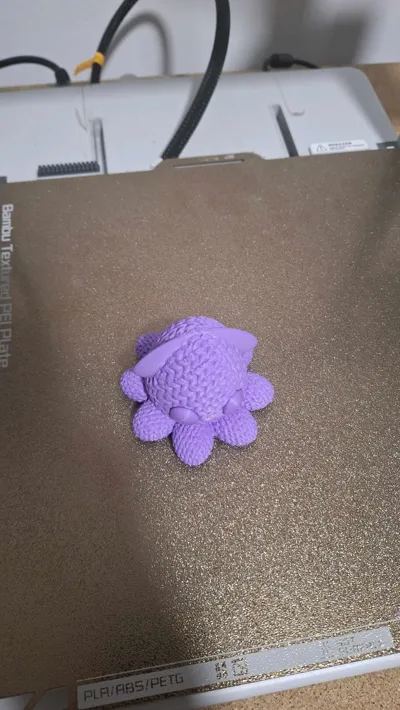 https://makerworld.bblmw.com/makerworld/model/996467/972923/ratings/a0b7a790-8633-11f0-82e5-2b4e7ba116eb.jpg