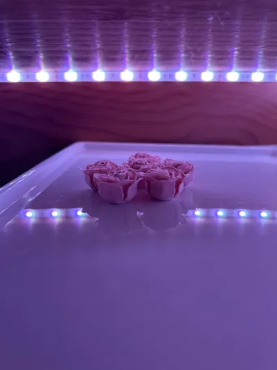 https://makerworld.bblmw.com/makerworld/model/996792/973299/ratings/09f68670-6aed-11f0-a2c9-1fc95527fa61.jpg