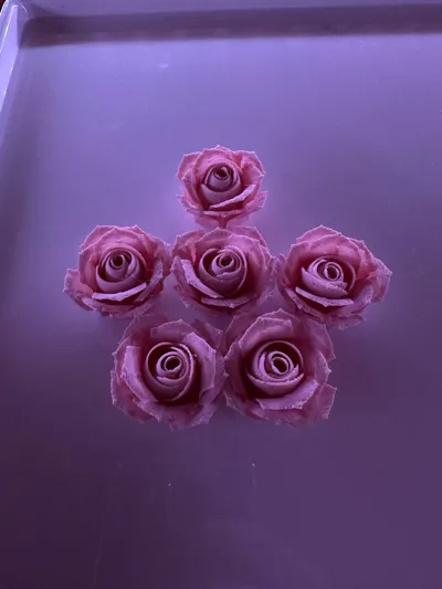 https://makerworld.bblmw.com/makerworld/model/996792/973299/ratings/09f6ad80-6aed-11f0-a2c9-1fc95527fa61.jpg