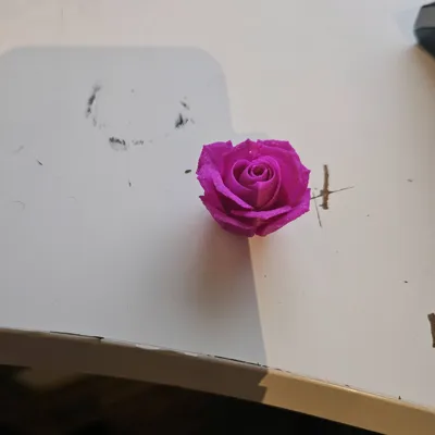 https://makerworld.bblmw.com/makerworld/model/996792/973299/ratings/b6486a50-26c4-11f0-9681-717edf2b89f2.jpg