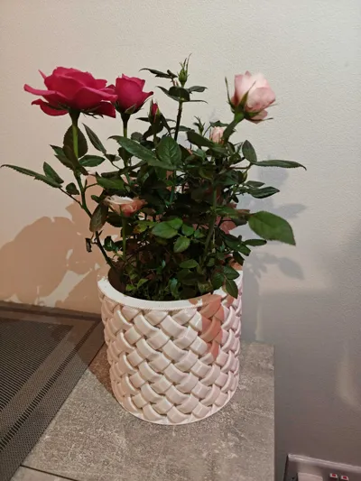 https://makerworld.bblmw.com/makerworld/model/996828/1268848/ratings/416b6eb0-0523-11f1-963a-e3d201994ba1.jpg