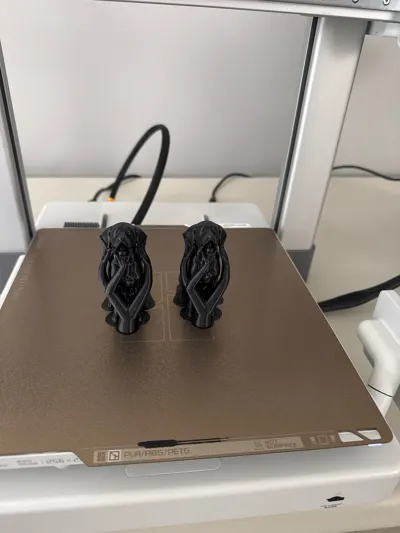 https://makerworld.bblmw.com/makerworld/model/997874/974589/ratings/edcfa170-29f1-11f0-b2dd-91c8fc94de98.jpg
