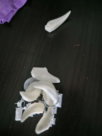 https://makerworld.bblmw.com/makerworld/model/999087/976110/ratings/dd41bc20-afcb-11f0-a8a1-a11b09dee470.jpg