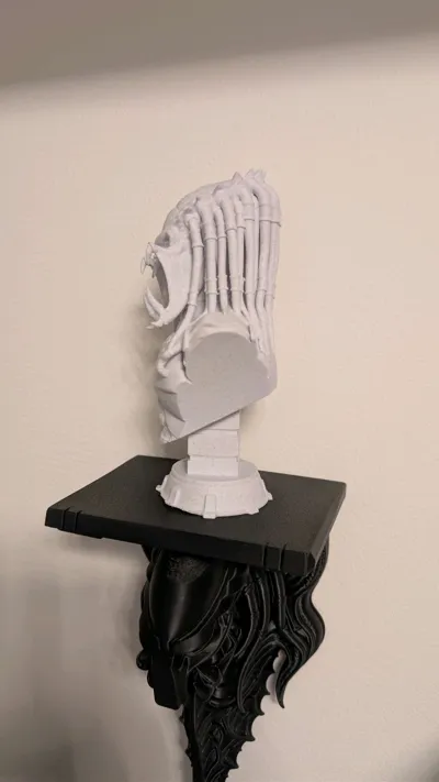 https://makerworld.bblmw.com/makerworld/model/999139/977436/ratings/4939c2f0-d20f-11f0-8c59-f16712251b88.jpg