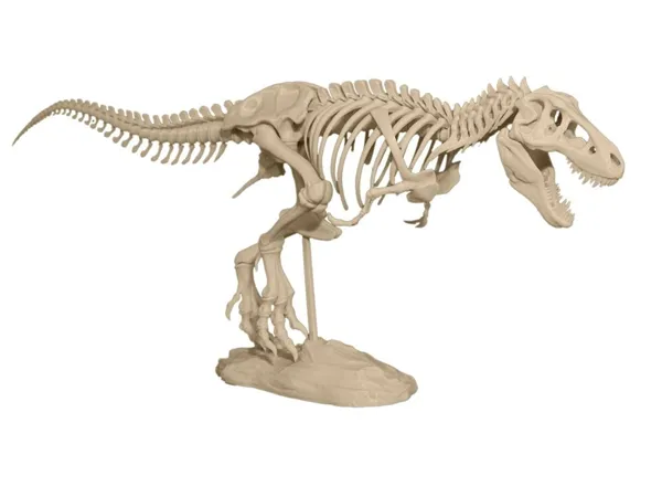 https://makerworld.bblmw.com/makerworld/model/DSM00000000016088/design/2023-09-22_44a88307d55aa8.jpg