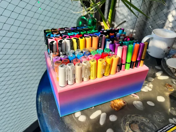 https://makerworld.bblmw.com/makerworld/model/DSM00000000017279/design/2023-09-23_d7566df98cbb6.webp