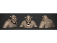 Buste de Shrek — photo 1