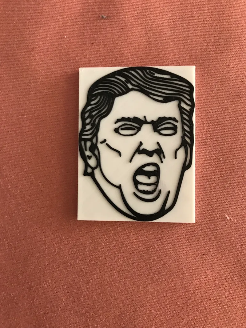 Donald Trump Magnet