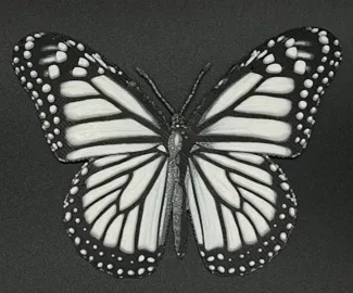 HueForge Monarch Butterfly