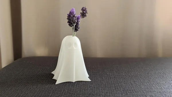 https://makerworld.bblmw.com/makerworld/model/DSM00000000022380/design/2023-09-26_wghcoq4ifanz.jpg