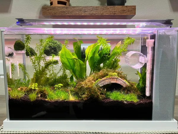 https://makerworld.bblmw.com/makerworld/model/DSM00000000024192/design/2023-09-26_ef0f202943588.webp