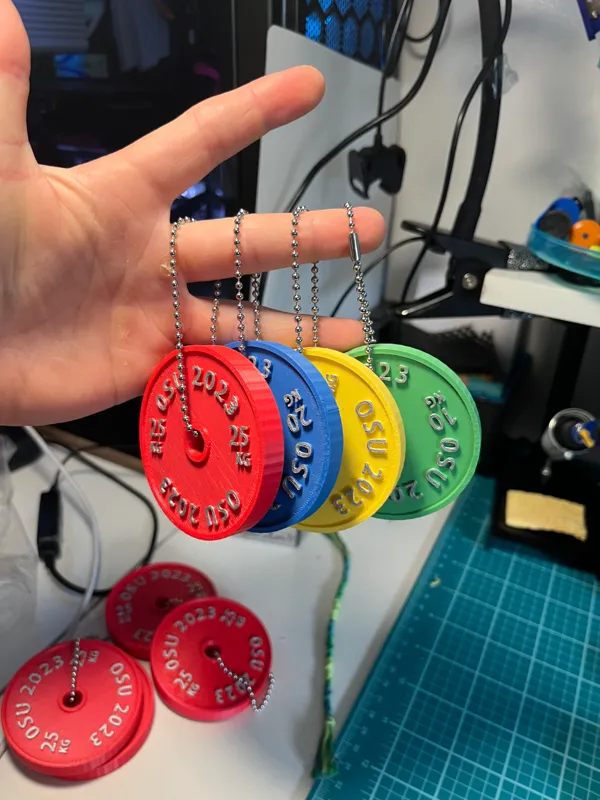 https://makerworld.bblmw.com/makerworld/model/DSM00000000027023/design/2023-09-28_d80cf9d963f16.jpeg