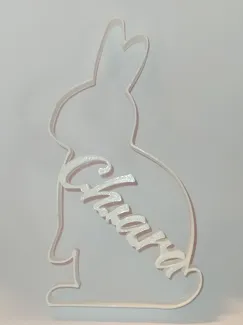 Bunny with name