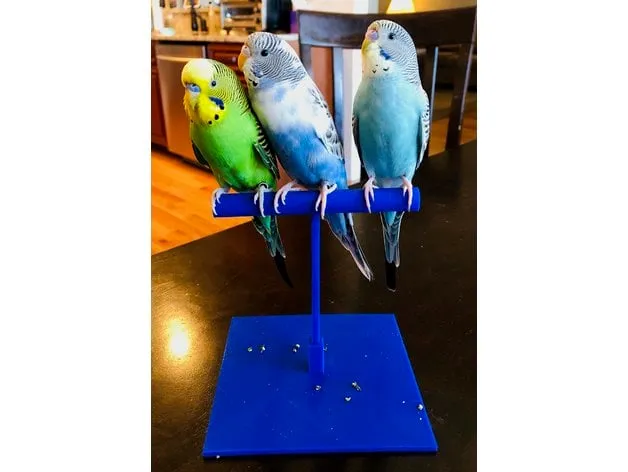 Parakeet Perch