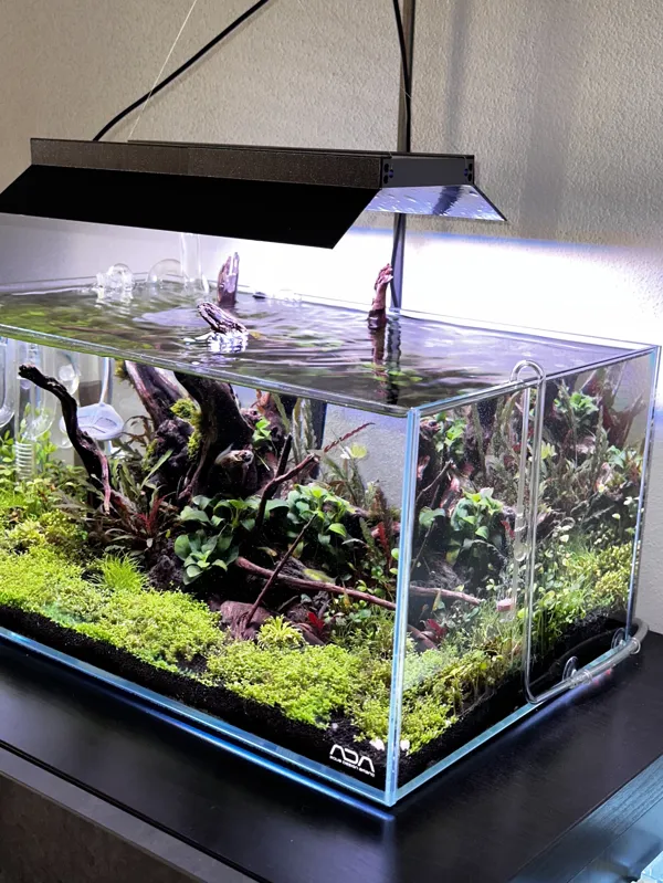 https://makerworld.bblmw.com/makerworld/model/DSM00000000031509/design/2023-10-02_yjmgwjkvst6f.jpg