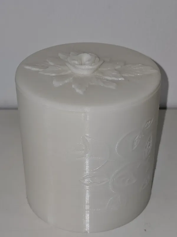 https://makerworld.bblmw.com/makerworld/model/DSM00000000040409/design/2024-02-07_60f81096df1b8.jpg