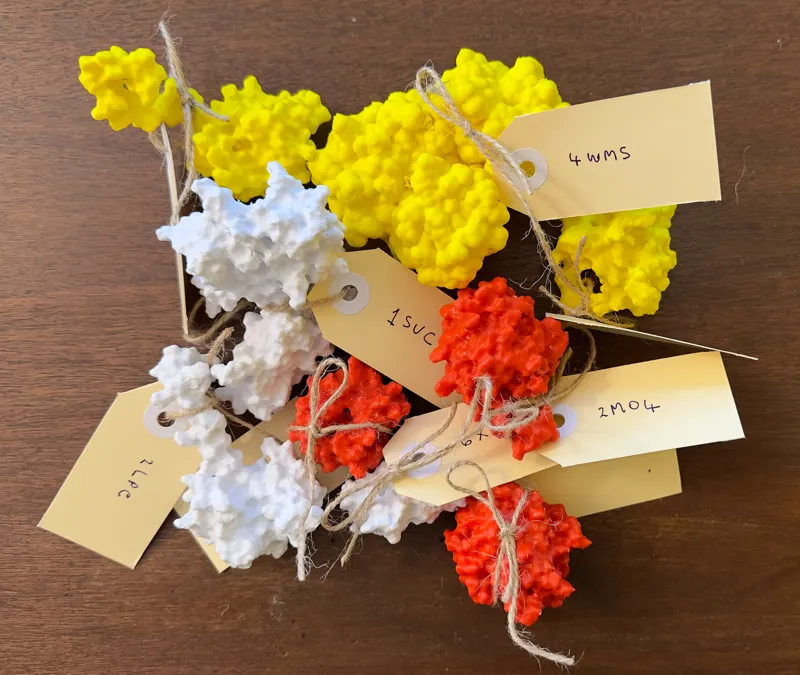 Cell death molecules