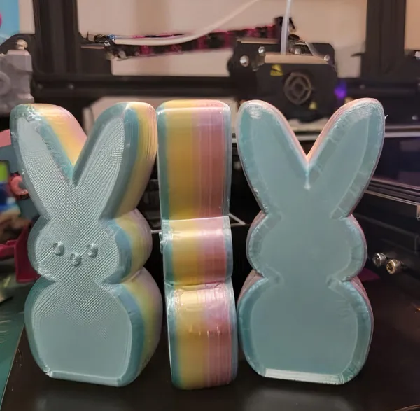 https://makerworld.bblmw.com/makerworld/model/DSM00000000044451/design/2023-10-19_tfinws6v7c2f.jpg
