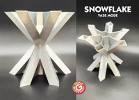 Vase spirale flocon de neige — photo 1