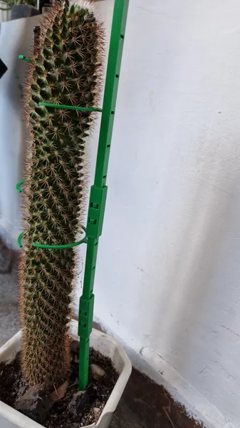 https://makerworld.bblmw.com/makerworld/model/DSM00000000050693/design/2023-09-22_184e2miibx6s.jpg