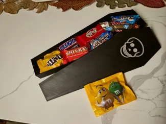 Halloween Coffin