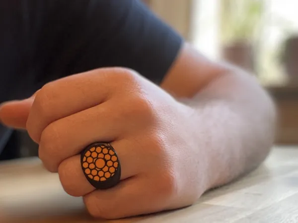 https://makerworld.bblmw.com/makerworld/model/DSM00000000056074/design/2023-11-03_qrnpvruf18wj.jpeg
