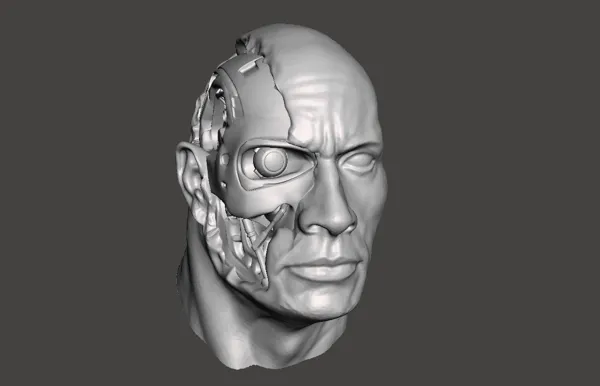 https://makerworld.bblmw.com/makerworld/model/DSM00000000056100/design/2023-11-03_rjy02facxezb.png