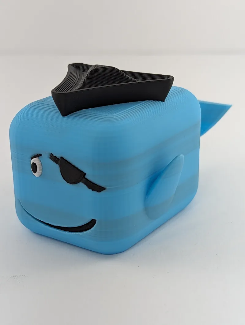 Pirate Whale
