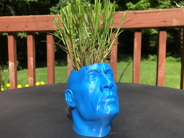 https://makerworld.bblmw.com/makerworld/model/DSM00000000058750/design/2023-11-07_p2gvtvxx1gpe.jpg