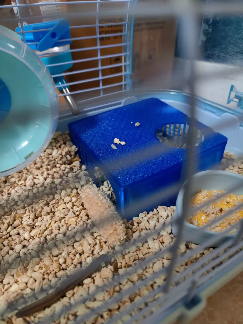 Hamster hideout(small size)