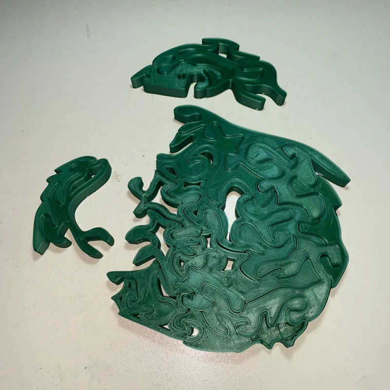 Dolphin Puzzle