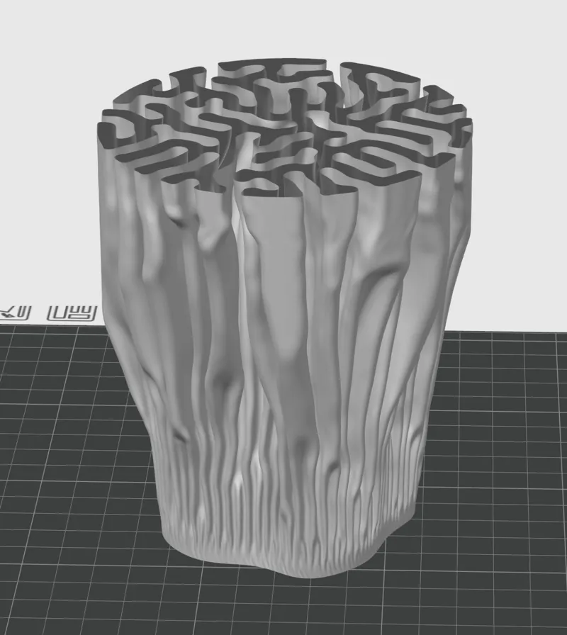 coral growth