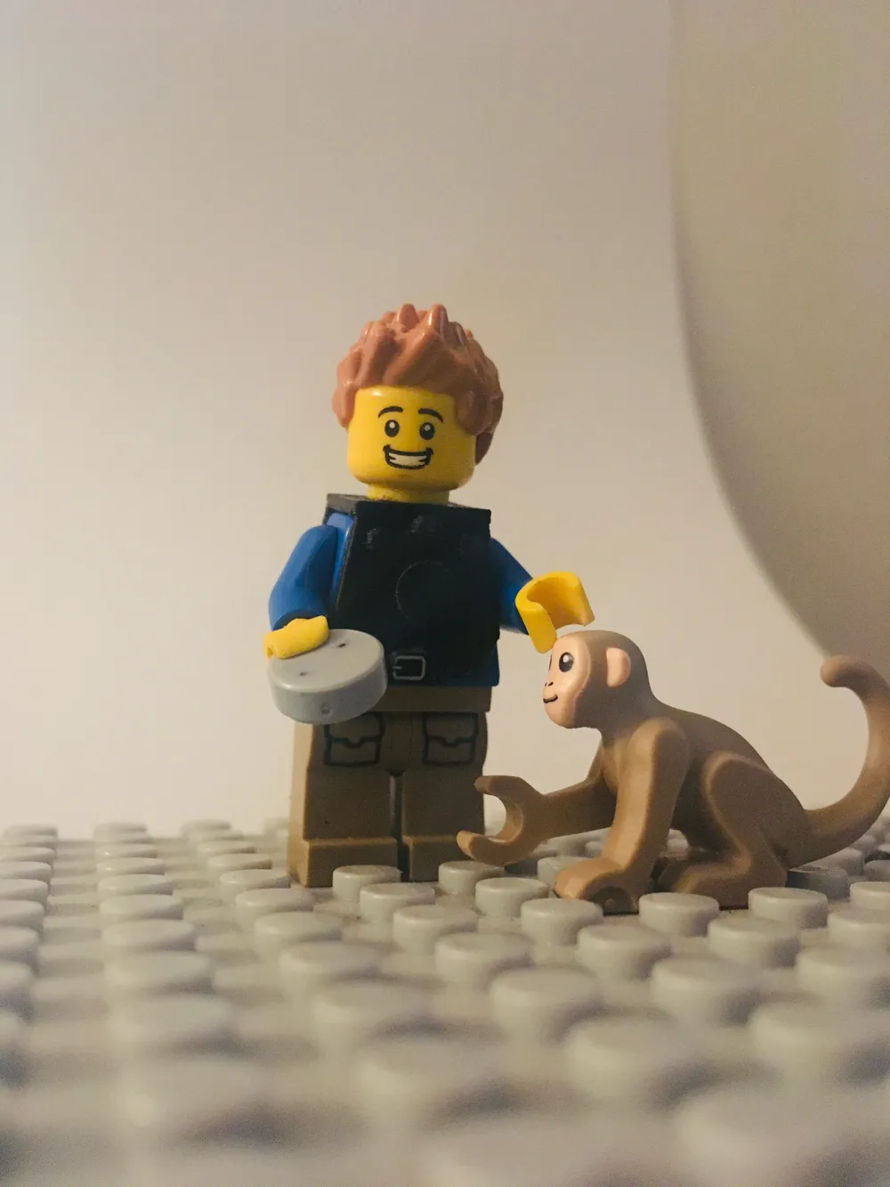 Wild Kratts lego vast by Andy Bro - MakerWorld