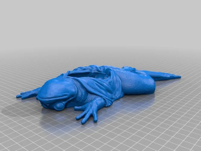 Dissected Frog Body 