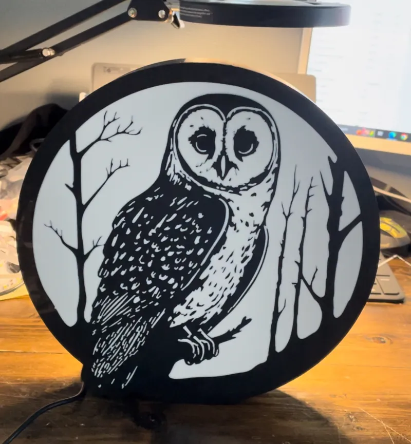 Round Owl LED Light Box with Stand