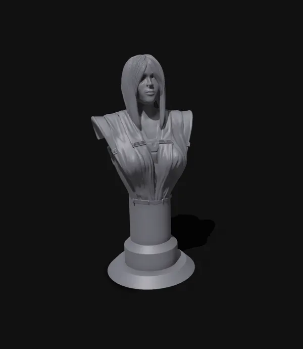 https://makerworld.bblmw.com/makerworld/model/DSM00000000075578/design/2023-11-27_f3671ff4245a6.png