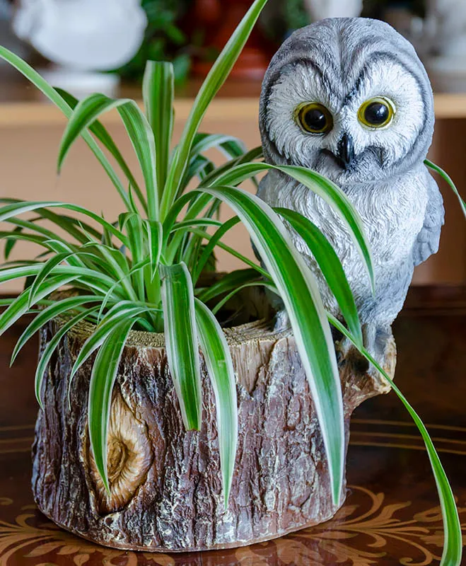 Owl themed planter/item holder/item organizer