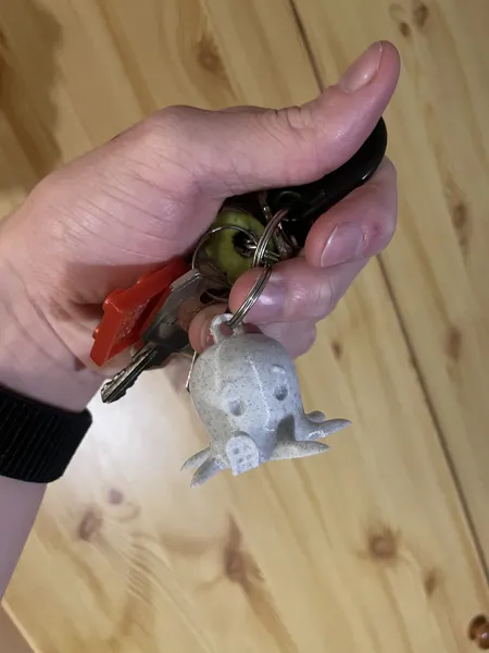 https://makerworld.bblmw.com/makerworld/model/DSM00000000083999/design/2023-12-05_trz7e2p1xb8m.jpeg