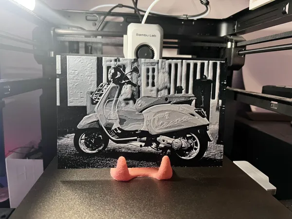 https://makerworld.bblmw.com/makerworld/model/DSM00000000086167/design/2023-12-08_ed9210ef429e1.jpg