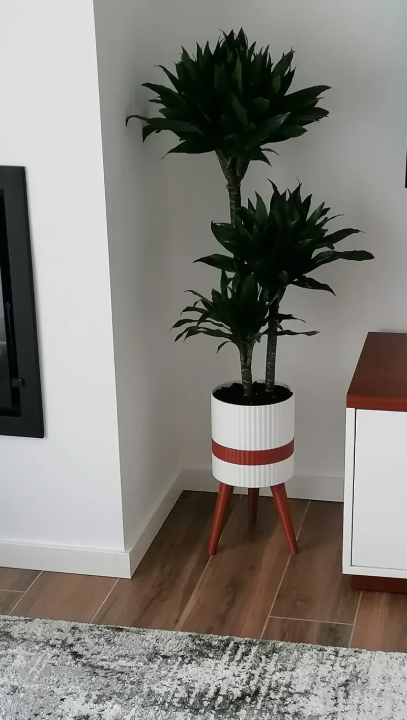 vaso