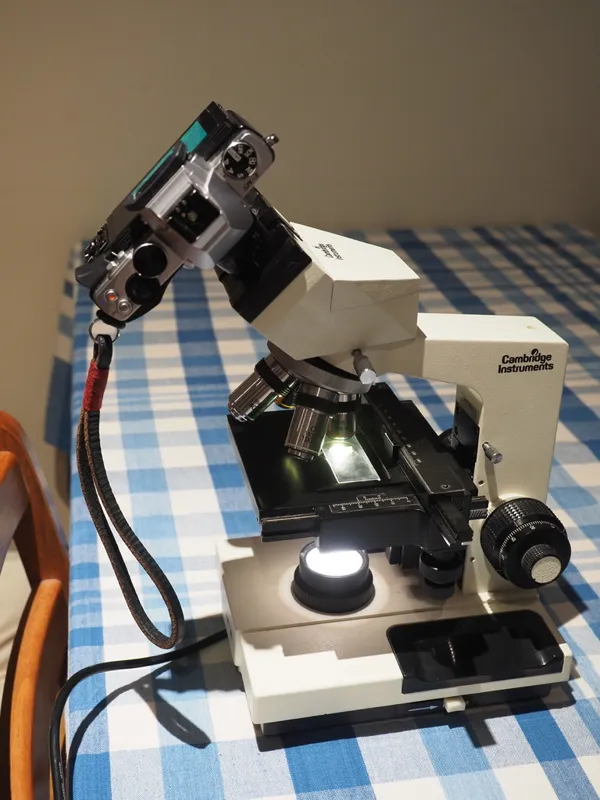 https://makerworld.bblmw.com/makerworld/model/DSM00000000087330/design/2023-12-09_qvfehypkjub0.jpg