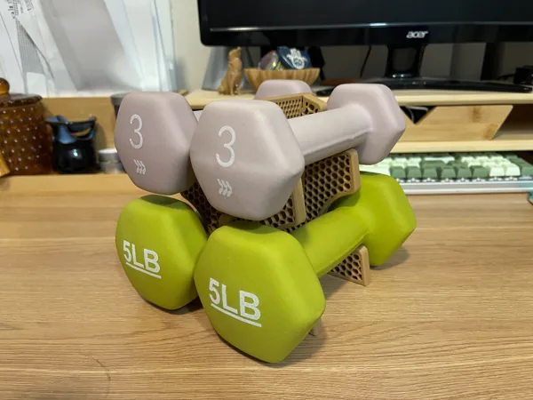 https://makerworld.bblmw.com/makerworld/model/DSM00000000088208/design/2023-12-09_c31690493874d.jpg