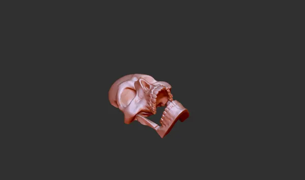 https://makerworld.bblmw.com/makerworld/model/DSM00000000089709/design/2023-12-11_be2a0df10005b.png