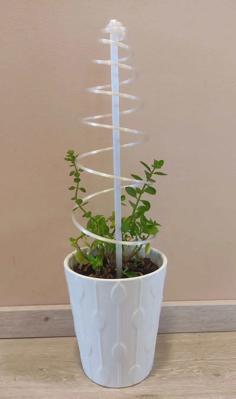 Spiral Plant Support (flatbed)