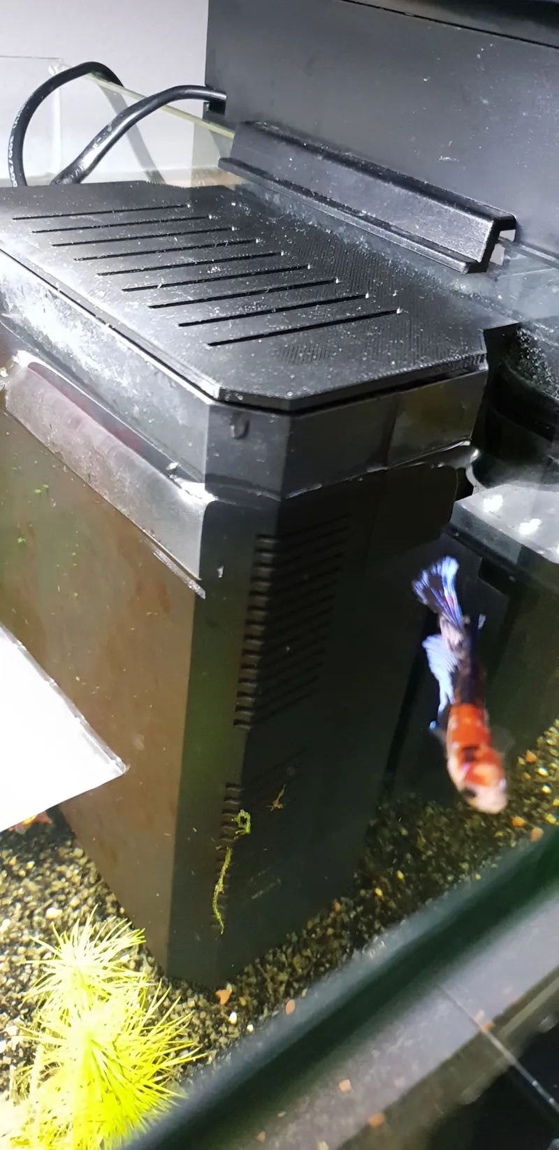 Superfish home 60 aquarium filter cover
