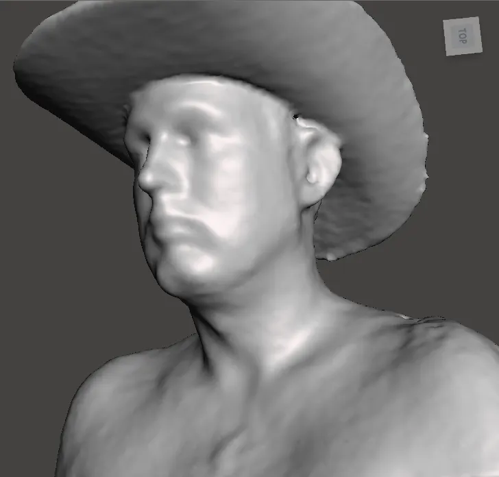 cowboy bust