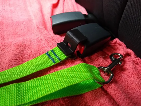 Cache-bouton pour ceinture de sécurité chien